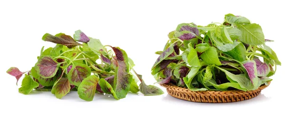 Spinaci nel cestino su sfondo bianco — Foto Stock