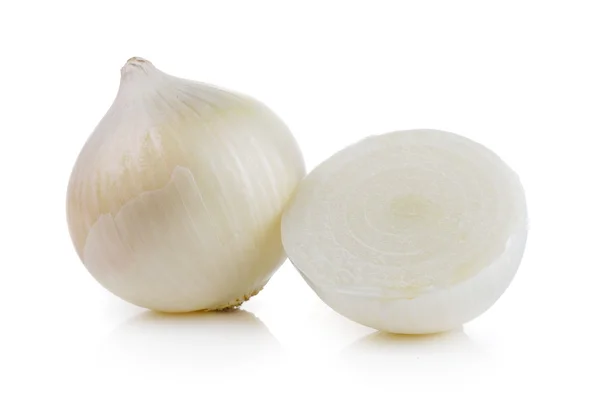 White onion on white background — Stock Photo, Image