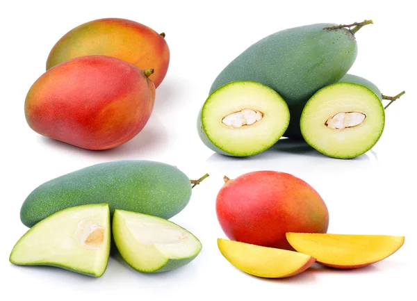 Mango on white background — Stock Photo, Image
