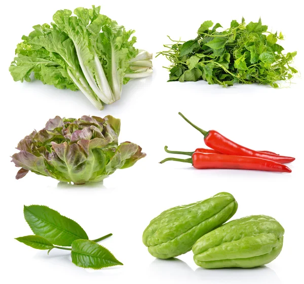 Grönt te blad, Chayote, grön ek, röd chilipeppar, Bitter gou — Stockfoto