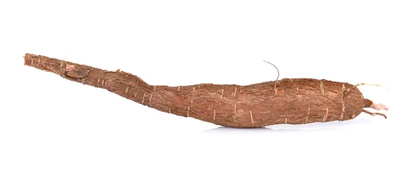 Cassava isolata su fondo bianco — Foto Stock