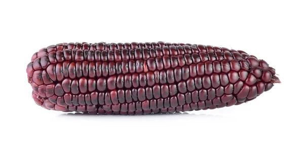 Fialové kukuřice na bílém pozadí — Stock fotografie