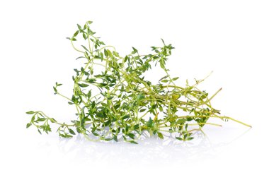 beyaz zemin üzerine kekik