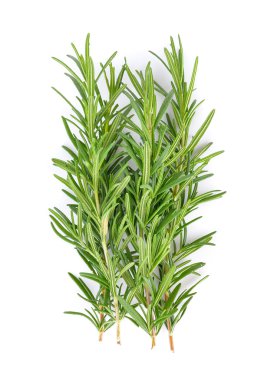 rosemary on white background