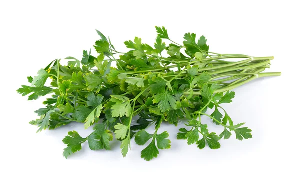 Parsley isolated on white background — Stock Photo, Image