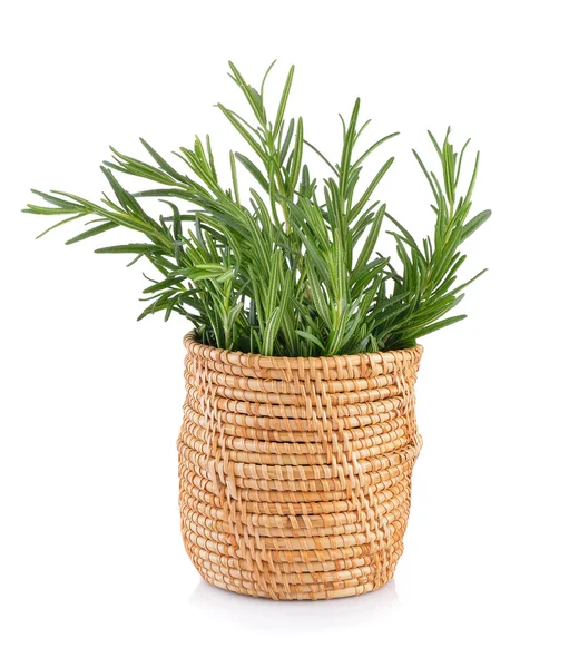 Rosemary in basket on white background — Stock Photo, Image