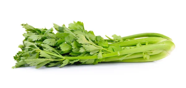 Celery on white background — Stock Photo, Image