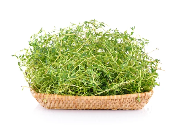 Fresh thyme in basket on white background — Stock Photo, Image