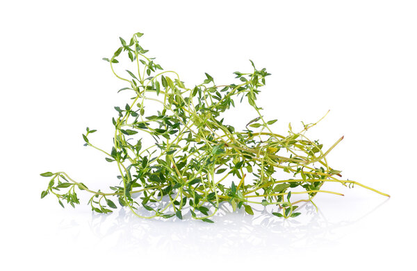 thyme on white background