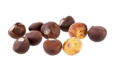 Beyaz arkaplanda çay çekirdekleri