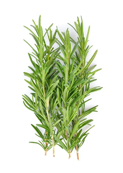 rosemary on white background