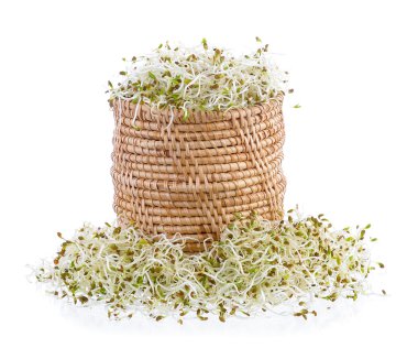 Sepette Beyaz bir arka plan üzerinde filizlenmiş yonca tohumu