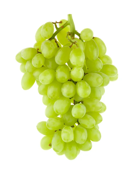 Uvas verdes aisladas sobre fondo blanco —  Fotos de Stock