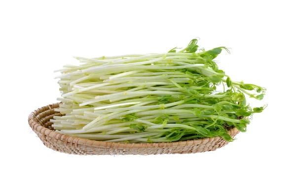 Green pea sprouts on white background — Stock Photo, Image