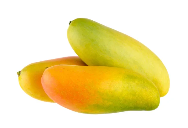 Mogen mango på vit bakgrund — Stockfoto