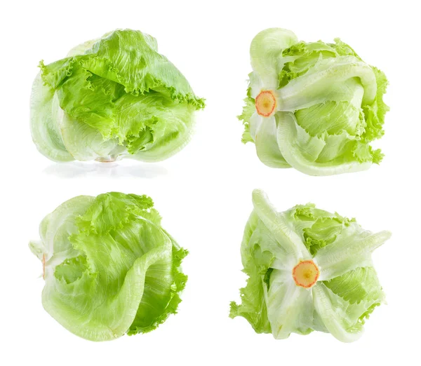 新鲜的绿色生菜，在白色背景上分离 — 图库照片