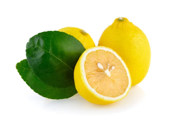 Lemon isolated on white background — Stock Photo, Image