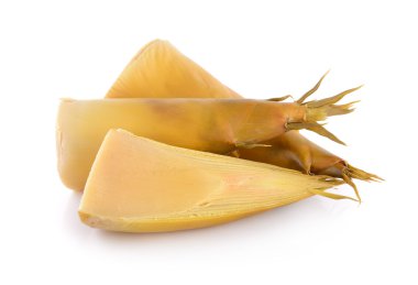 Beyaz arkaplanda bambu filizleri