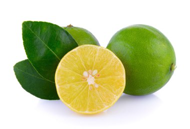 Limes beyaz zemin üzerine