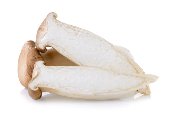 Ústřicové houby na bílém pozadí — Stock fotografie