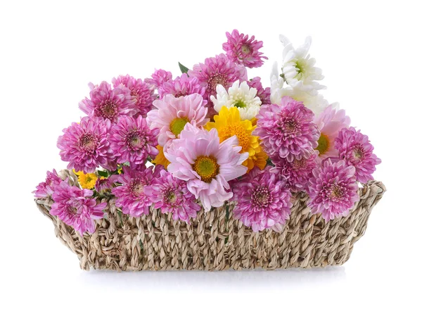 Crisantemos en cesta sobre fondo blanco — Foto de Stock