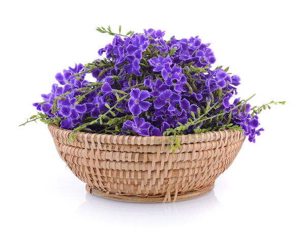 Purple flowers in basket