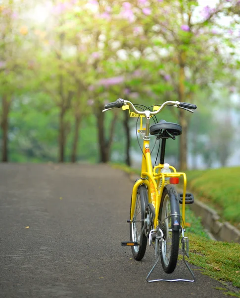 Bicycle in the garden road — Stock Photo, Image