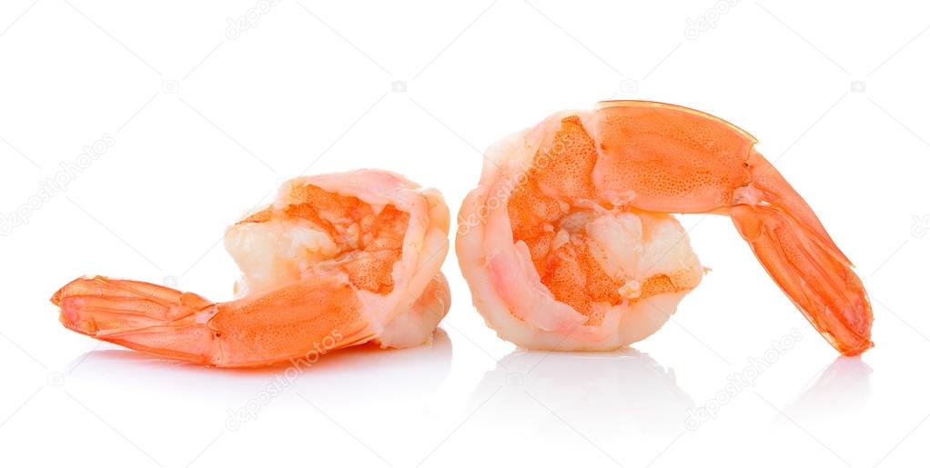 shrimps on white background