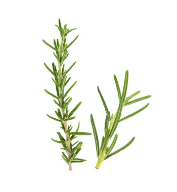 Beyaz arkaplanda biberiye izole edildi