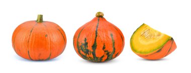 Beyaz arkaplanda kabak izole