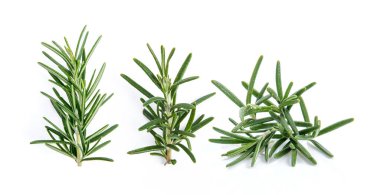 Beyaz arkaplanda taze biberiye izole edildi