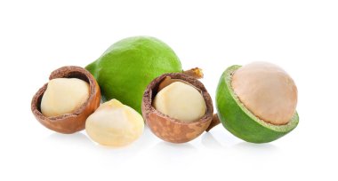 Macadamia beyaz arkaplanda izole edildi.