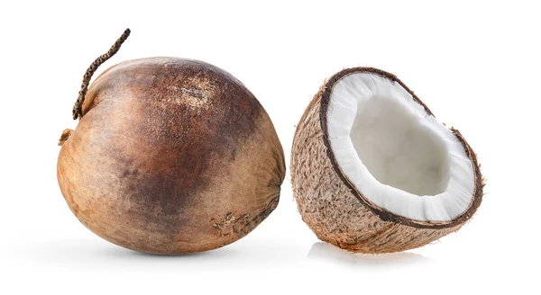 在白色背景上分离的干椰子 — 图库照片