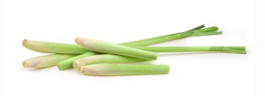 Limon otu beyaz bir arkaplanda izole edilmiş