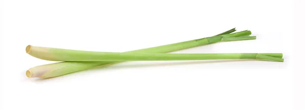 Lemongrass Isolated White Background — Stock Photo, Image