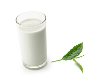 bardak süt ve yeşil çay yaprak beyaz arka plan üzerinde izole