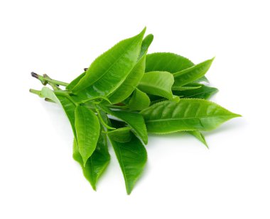 Beyaz arkaplanda izole çay yaprağı