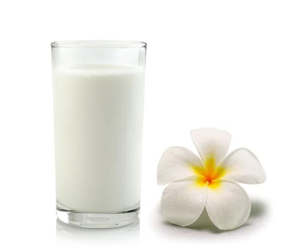 Стакан молока и тропических цветов франджипани (plumeria ) — стоковое фото