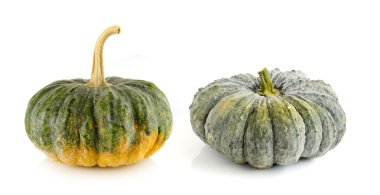 Beyaz arka plan üzerinde üzerinde kabak