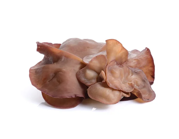 黑色真菌，白色背景的犹太人的耳朵蘑菇 — 图库照片