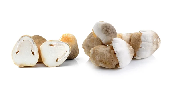 Fresh rice straw mushrooms — Stock Photo, Image