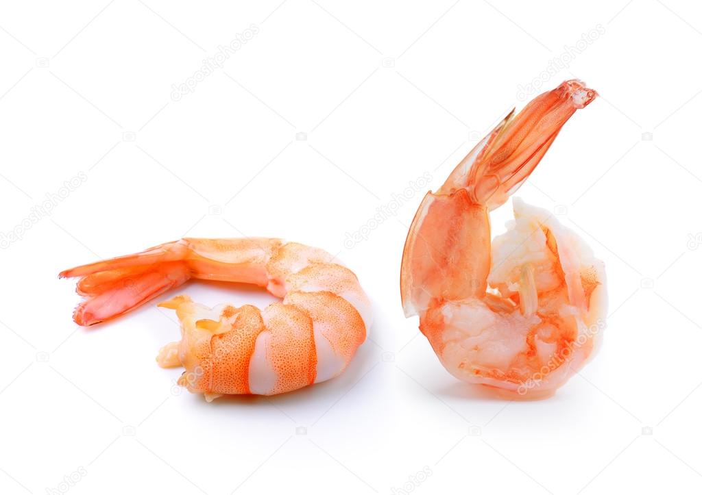 shrimps on a white background