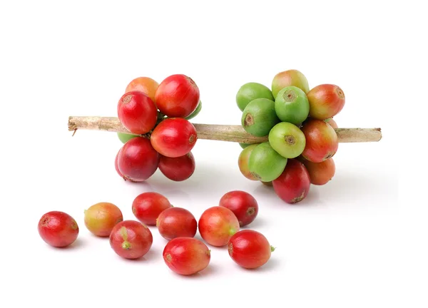 Червоні кавові зерна ізольовані на білому фоні — стокове фото