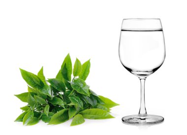 Beyaz arka planda ıssız bir bardak su ve çay yaprağı.