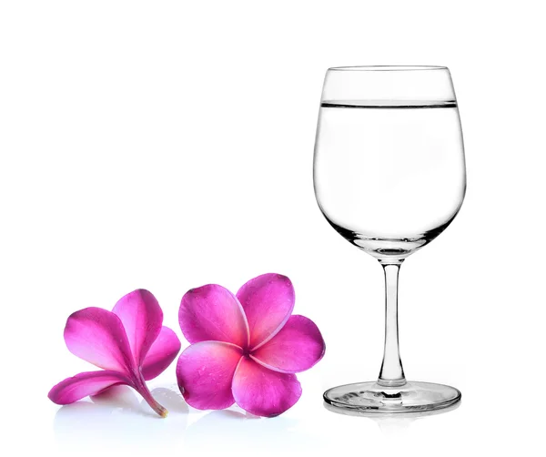 Vidro de água e flor de frangipani isolado fundo branco — Fotografia de Stock