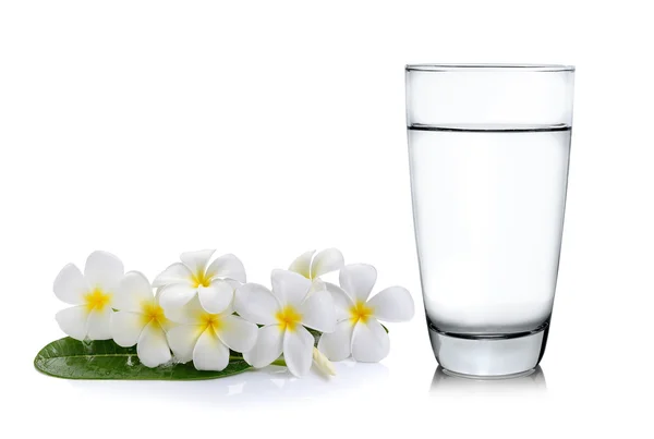 Glas Wasser und tropische Blumen frangipani (plumeria)) — Stockfoto