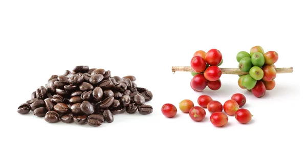 Grãos de café Isolados sobre fundo branco — Fotografia de Stock