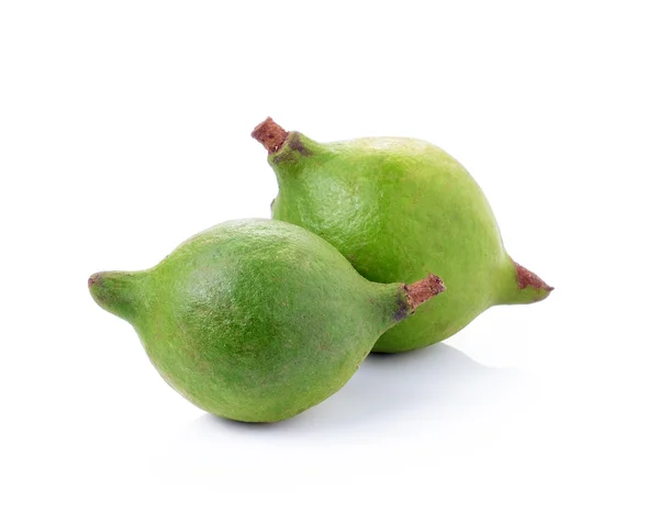 Nueces de macadamia sobre fondo blanco — Foto de Stock