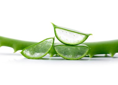 Beyaz arka plan üzerinde taze aloe vera bırakır