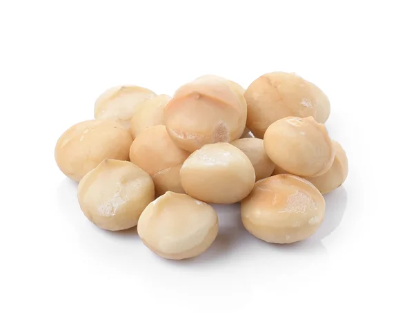 Nueces de macadamia sobre fondo blanco — Foto de Stock